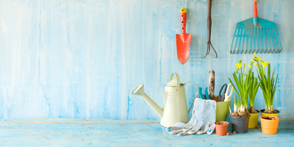 Margaret Rose Realy on Celebrating God through His Beautiful Creation